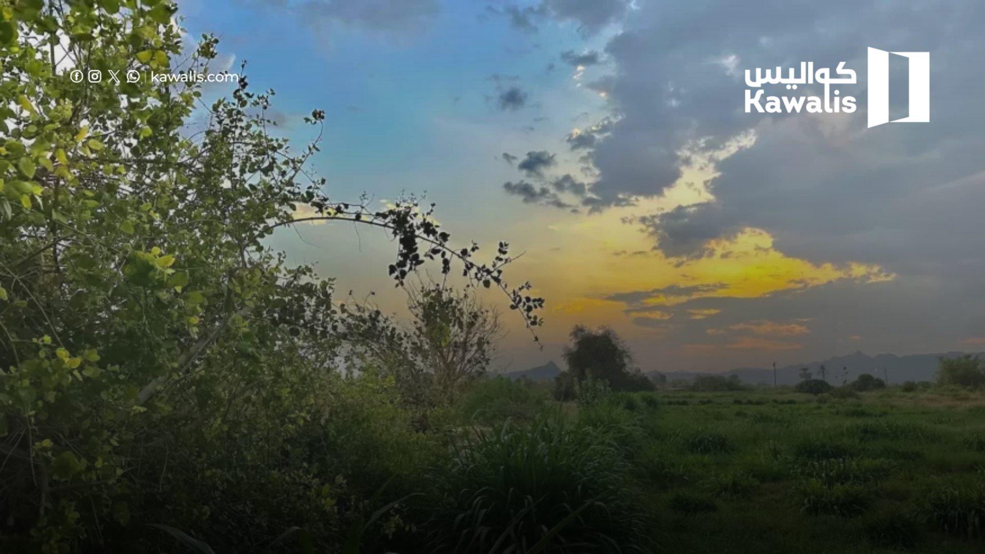 موعد موسم العقارب وما التغيرات التي تحدث؟