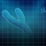 هل يختفي الرجال؟ لغز اختفاء كروموسوم Y يثير قلق العلماء