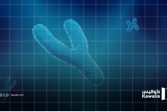 هل يختفي الرجال؟ لغز اختفاء كروموسوم Y يثير قلق العلماء