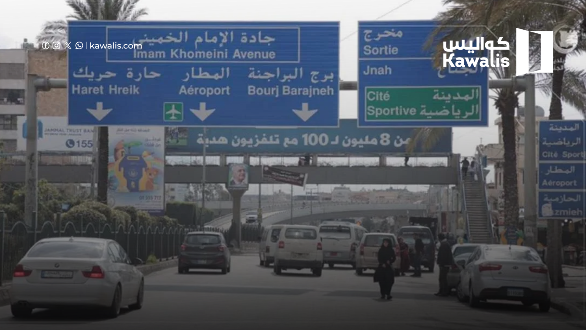 أبقار المطار أقوى من المحافظ